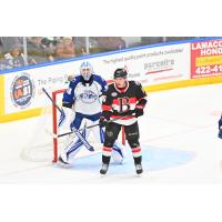 Syracuse Crunch goaltender Brandon Halverson vs. the Belleville Senators