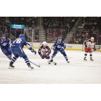 Syracuse Crunch and Cleveland Monsters on the ice