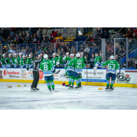 Springfield Thunderbirds on game night