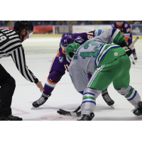 Florida Everblades forward Craig Needham in the faceoff circle