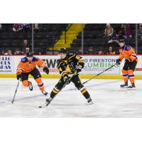 Wheeling Nailers' Mathieu De St. Phalle and Reading Royals' Todd Skirving and Shane Sellar on the ice