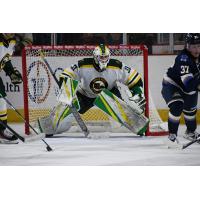 Sioux City Musketeers goaltender Samuel Urban