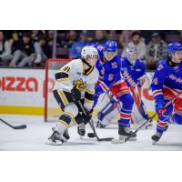 Kitchener Rangers defenseman Matthew Andonovski faces the Sarnia Sting