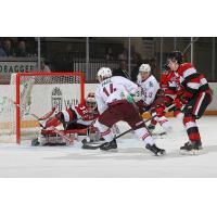 Peterborough Petes left wing Quinton Pagé looks for a goal vs. the Ottawa 67's