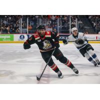 Grand Rapids Griffins' Tory Dello and Cleveland Monsters' Max McCue on game night