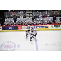 South Carolina Stingrays on the ice