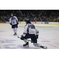 Florida Everblades on game night