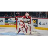 Grand Rapids Griffins' Ville Husso