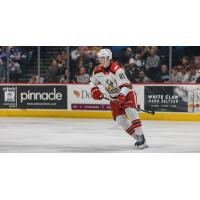 Grand Rapids Griffins left wing Elmer Soderblom