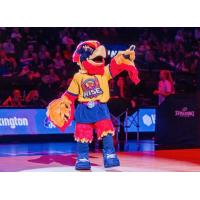 Grand Rapids Rise mascot Ember