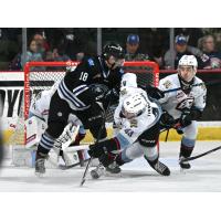 Wenatchee Wild's Shaun Rios battles Portland Winterhawks' Ryder Thompson and Carter Sotheran