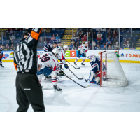 Springfield Thunderbirds crash the net against the Hartford Wolf Pack