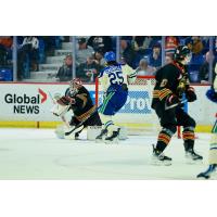 Vancouver Giants goaltender Burke Hood against the Swift Current Broncos