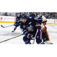 Quinn Preston of the Kalamazoo Wings