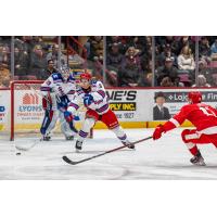 Kitchener Rangers defenceman Jakub Chromiak and goaltender Jason Schaubel vs. the Sault Ste. Marie Greyhounds