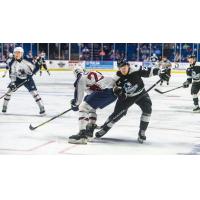 Tulsa Oilers' Mike McKee versus Wichita Thunder's Mitchell Russell