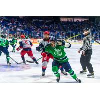 Allen Americans battle the Tulsa Oilers