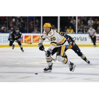 Wheeling Nailers forward James Hardie