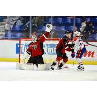 Vancouver Giants goaltender Burke Hood grabs a puck out of the air