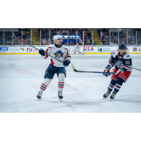 Springfield Thunderbirds defenseman Matthew Kessel