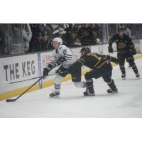 Wenatchee Wild forward Luka Shcherbyna (left) is challenged by the Brandon Wheat Kings' Joby Baumuller