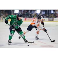 Florida Everblades forward Reece Newkirk handles the puck vs. the Greenville Swamp Rabbits