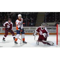 Peterborough Petes goaltender Zach Bowen vs. the Flint Firebirds