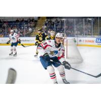 Springfield Thunderbirds forward MacKenzie MacEachern