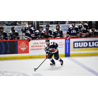 South Carolina Stingrays defenseman Andrew Perrott