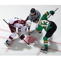 Peterborough Petes' Brody Partridge versus London Knights' Jacob Julien