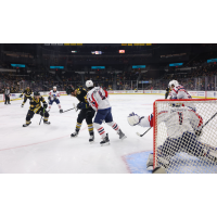 Springfield Thunderbirds' Vadim Zherenko and Michael Buchinger on game night