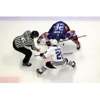 Wenatchee Wild's Tye Spencer versus Regina Pats' Ashton Brown