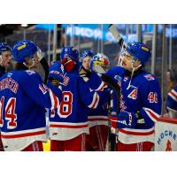 Kitchener Rangers celebrate a goal