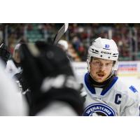 Wenatchee Wild's Evan Friesen
