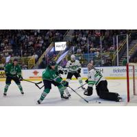 Florida Everblades forawrd Kyle Neuber vs. the Savannah Ghost Pirates