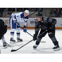 Sudbury Wolves' Quentin Musty and Peterborough Petes' Francis Parish on game night