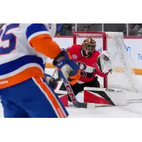 Belleville Senators on game night