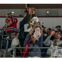 Pucks-N-Paws Day at the Allen Americans game