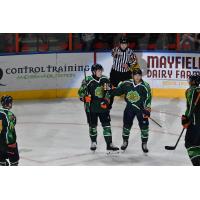 Greenville Swamp Rabbits in St. Patricks Day jerseys