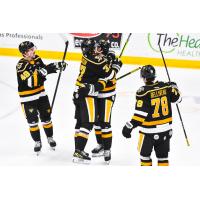 Wheeling Nailers celebrate a goal