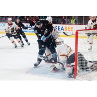 Vancouver Giants goaltender Brady Smith vs. the Portland Winterhawks