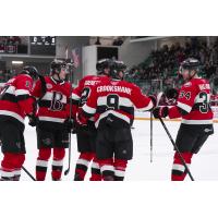 Belleville Senators on the ice