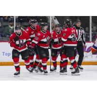 Belleville Senators react after a goal