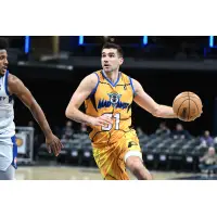 Indiana Mad Ants guard Dakota Mathias