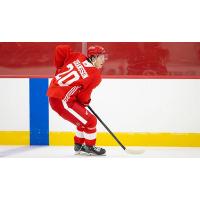 Grand Rapids Griffins defenseman Anton Johansson