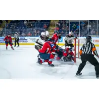 Springfield Thunderbirds look for a shot against the Hershey Bears