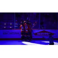 South Carolina Stingrays celebrate win