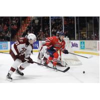 Peterborough Petes defenceman Rio Kaiser
