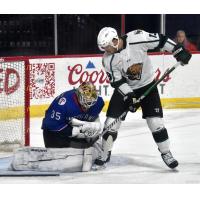 Allen Americans goaltender Anson Thornton vs. the Utah Grizzlies