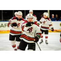 Tucson Roadrunners forward Kailer Yamamoto